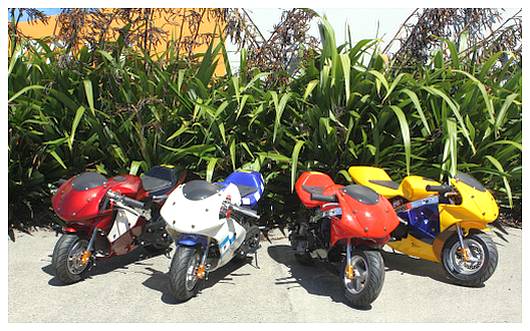Pocket Bikes